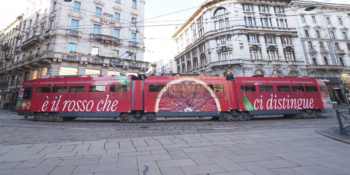 "E' il rosso che ci distingue": l'arancia rossa colora i tram di Milano